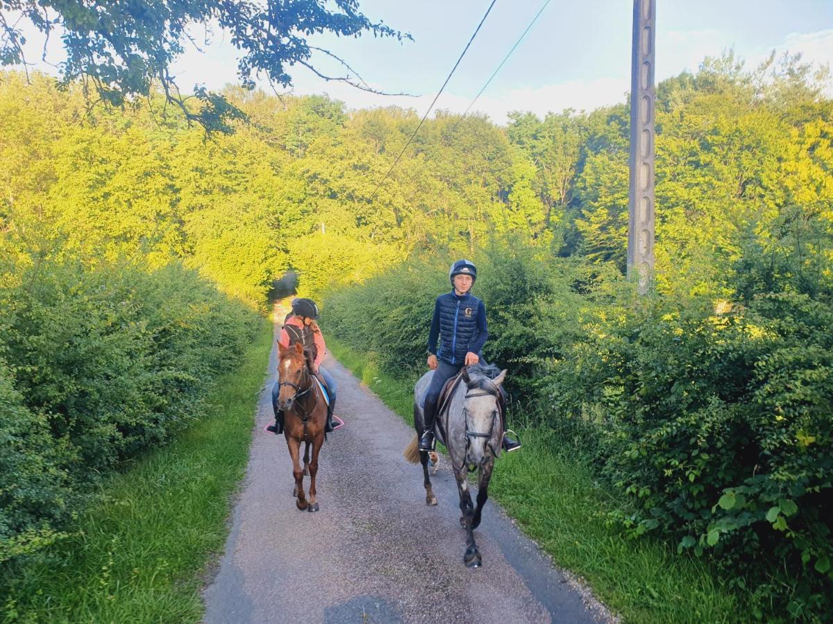 Ferme Equestre & Chambres D'Hotes Gateau Stables Proche Guedelon Saint-Amand-en-Puisaye Εξωτερικό φωτογραφία