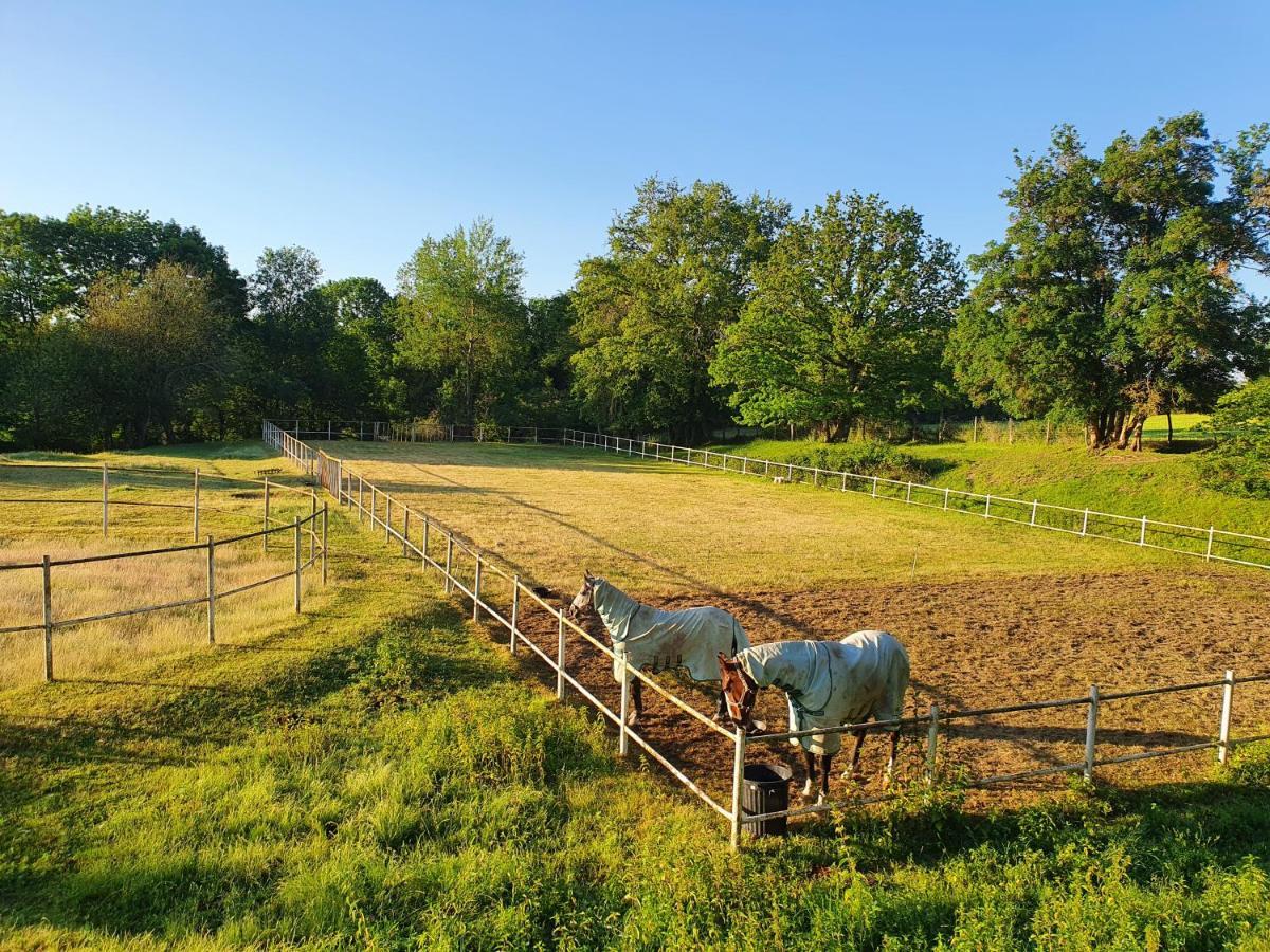 Ferme Equestre & Chambres D'Hotes Gateau Stables Proche Guedelon Saint-Amand-en-Puisaye Εξωτερικό φωτογραφία
