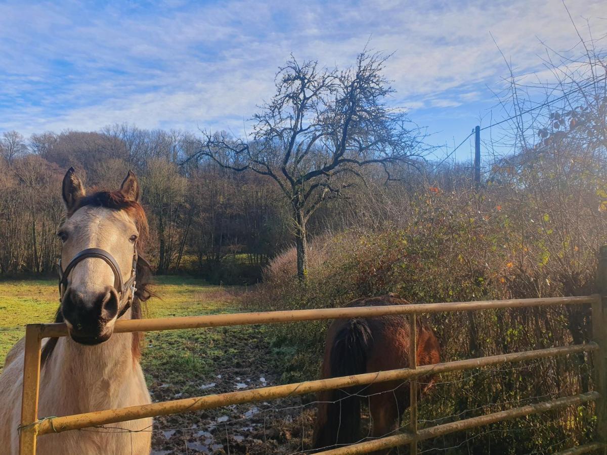 Ferme Equestre & Chambres D'Hotes Gateau Stables Proche Guedelon Saint-Amand-en-Puisaye Εξωτερικό φωτογραφία