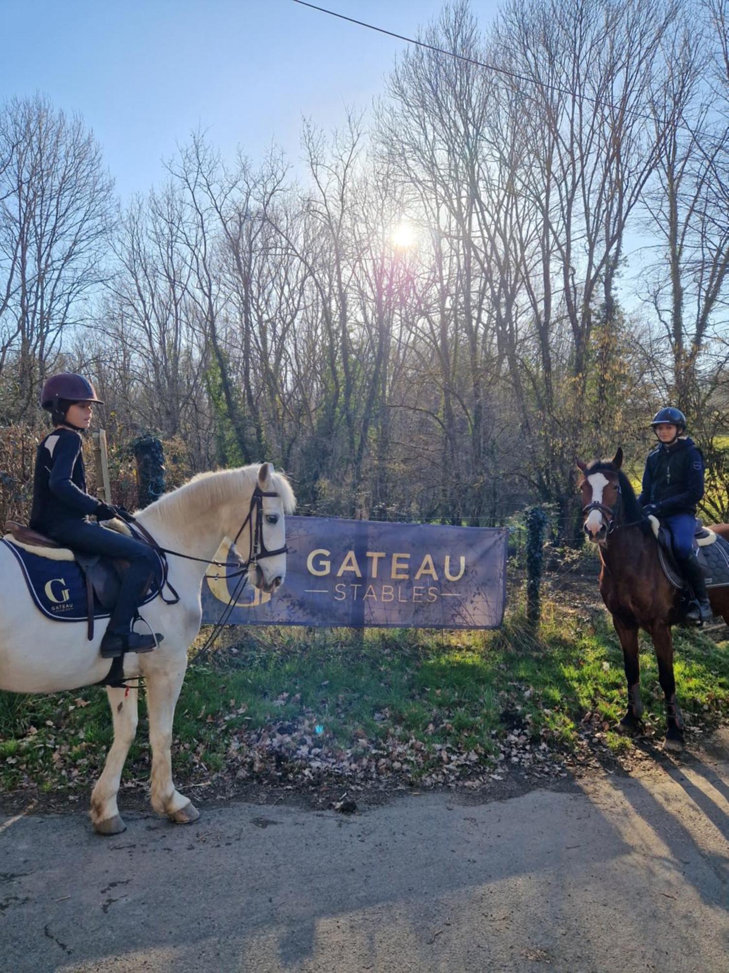 Ferme Equestre & Chambres D'Hotes Gateau Stables Proche Guedelon Saint-Amand-en-Puisaye Εξωτερικό φωτογραφία