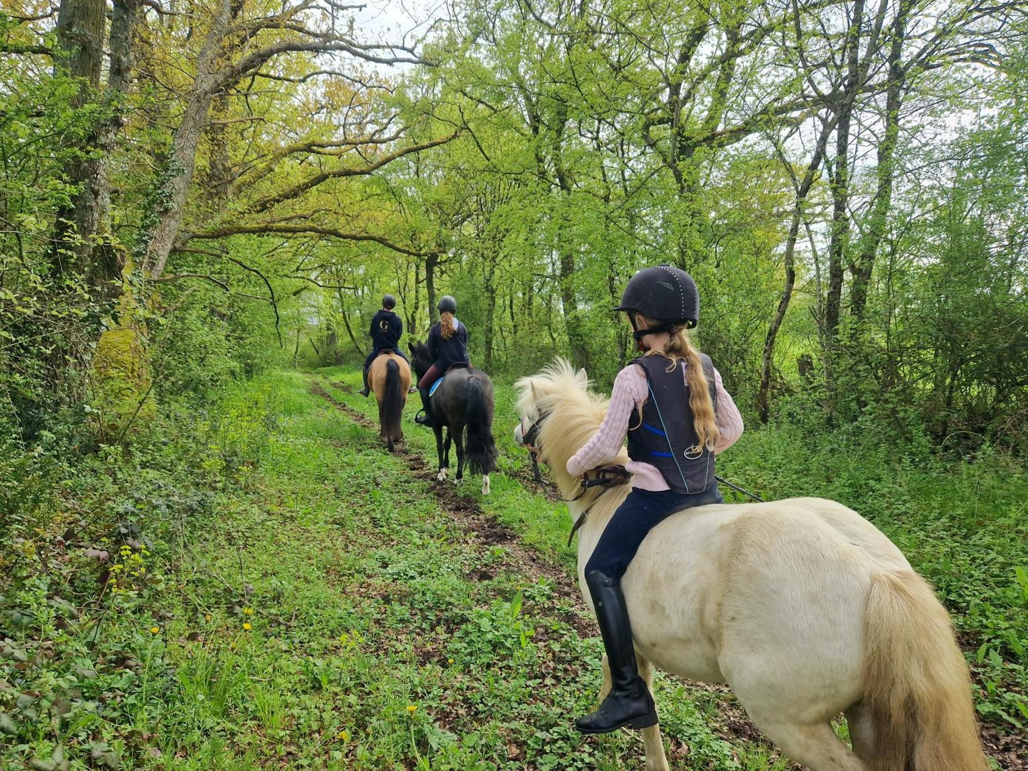 Ferme Equestre & Chambres D'Hotes Gateau Stables Proche Guedelon Saint-Amand-en-Puisaye Εξωτερικό φωτογραφία