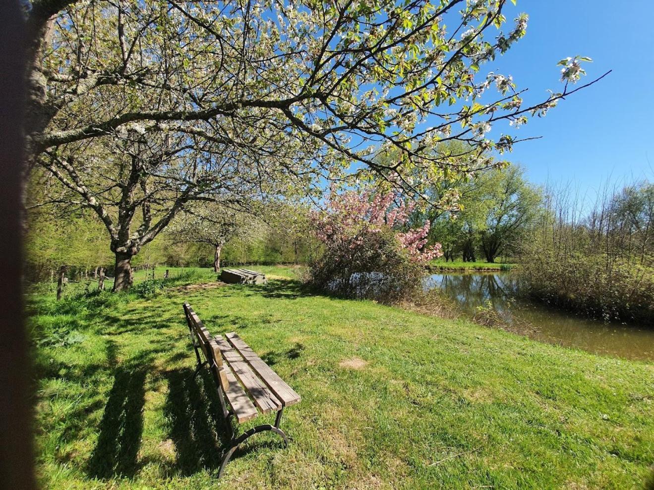Ferme Equestre & Chambres D'Hotes Gateau Stables Proche Guedelon Saint-Amand-en-Puisaye Εξωτερικό φωτογραφία