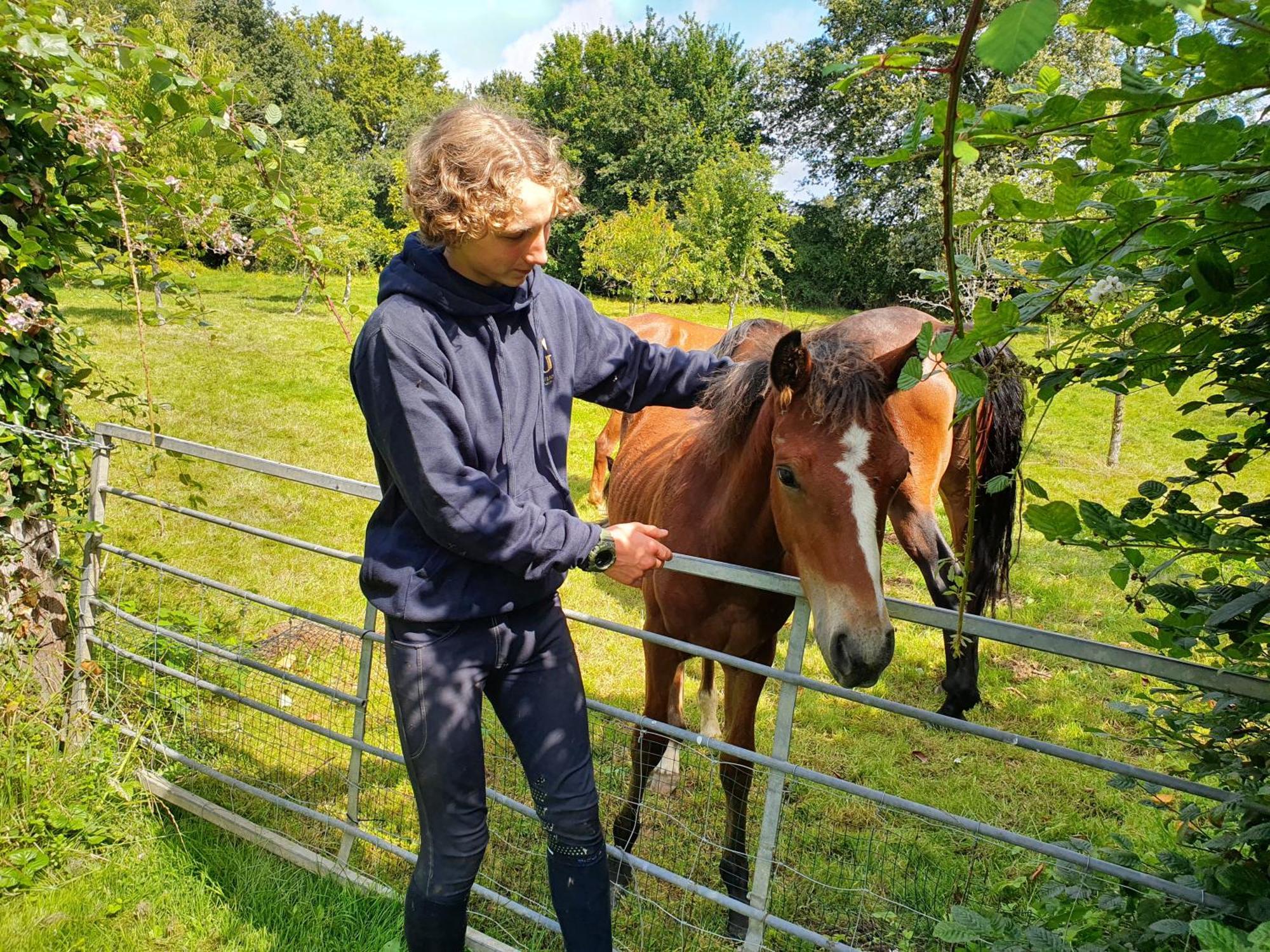 Ferme Equestre & Chambres D'Hotes Gateau Stables Proche Guedelon Saint-Amand-en-Puisaye Εξωτερικό φωτογραφία