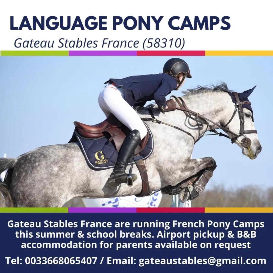 Ferme Equestre & Chambres D'Hotes Gateau Stables Proche Guedelon Saint-Amand-en-Puisaye Εξωτερικό φωτογραφία
