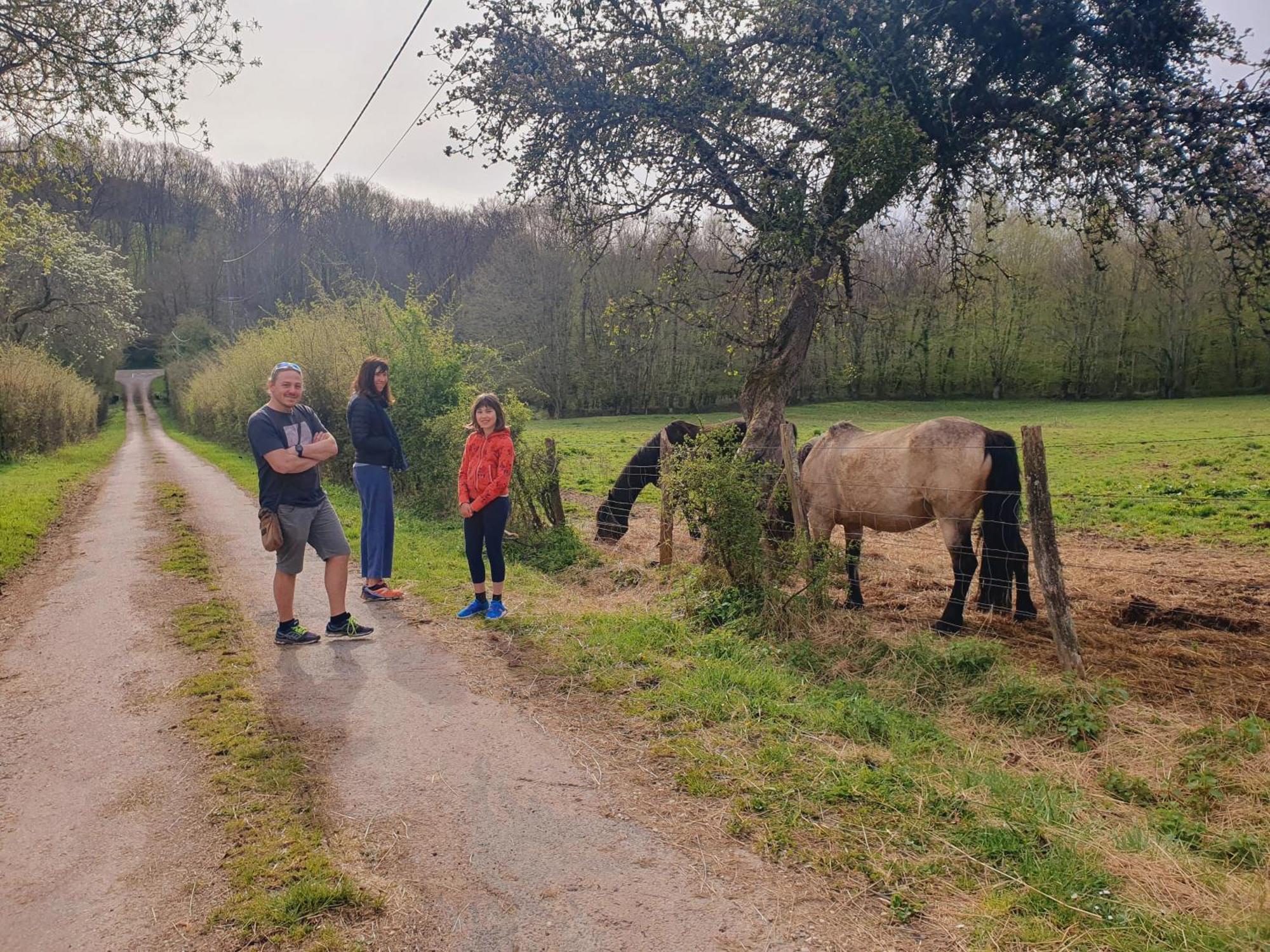 Ferme Equestre & Chambres D'Hotes Gateau Stables Proche Guedelon Saint-Amand-en-Puisaye Εξωτερικό φωτογραφία