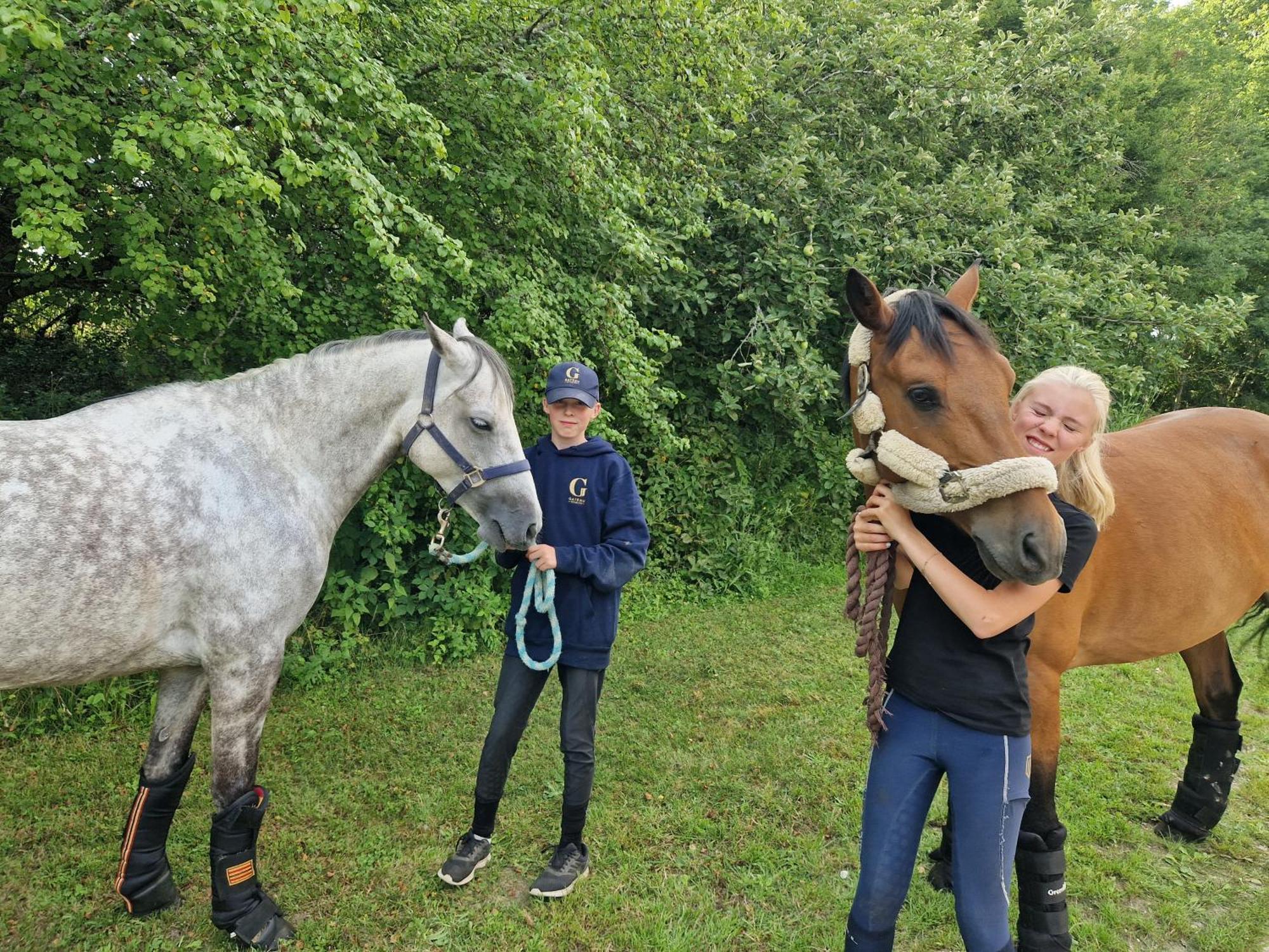 Ferme Equestre & Chambres D'Hotes Gateau Stables Proche Guedelon Saint-Amand-en-Puisaye Εξωτερικό φωτογραφία