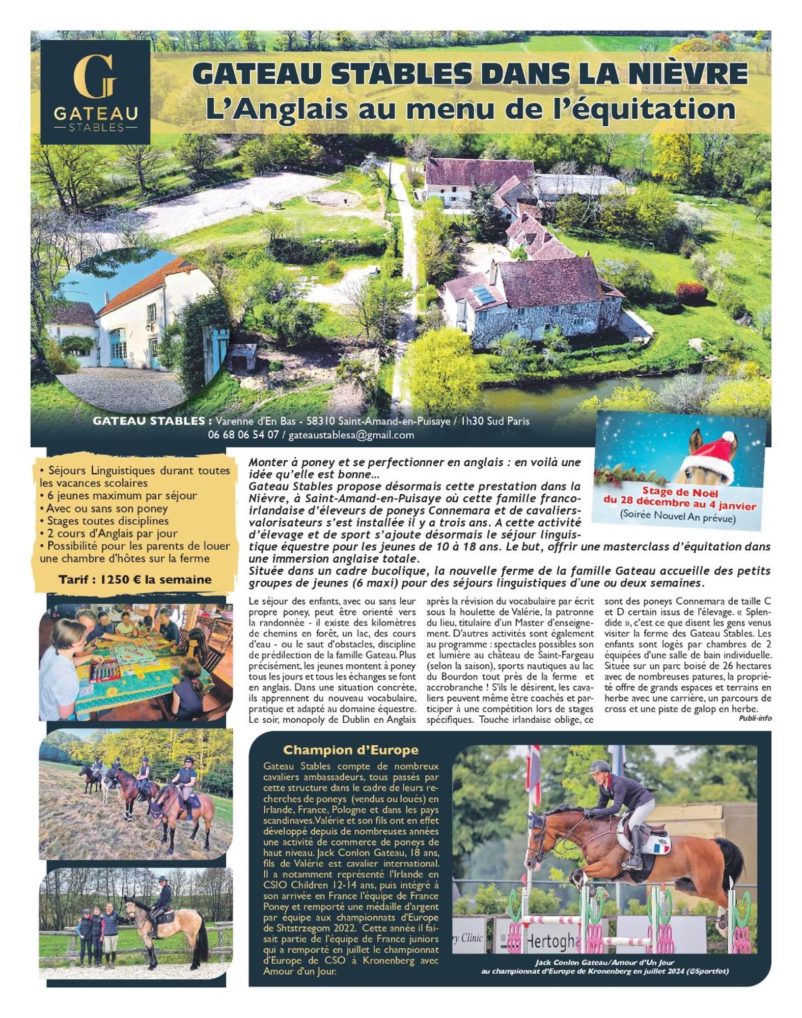 Ferme Equestre & Chambres D'Hotes Gateau Stables Proche Guedelon Saint-Amand-en-Puisaye Εξωτερικό φωτογραφία